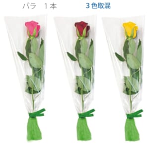 cpat-A12-2219323