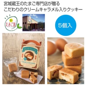 cpat-A12-2477666