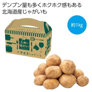 cpat-A12-2566670