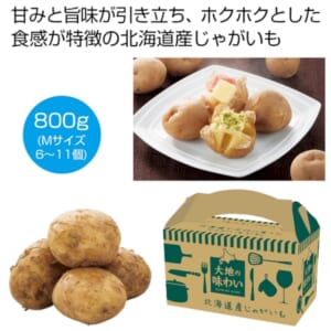 cpat-A12-2566680