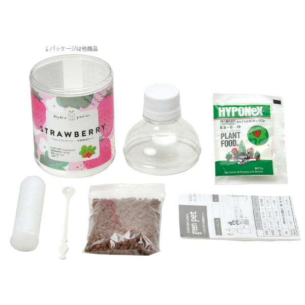 グリーンペット1個(バジル)の商品画像3枚目