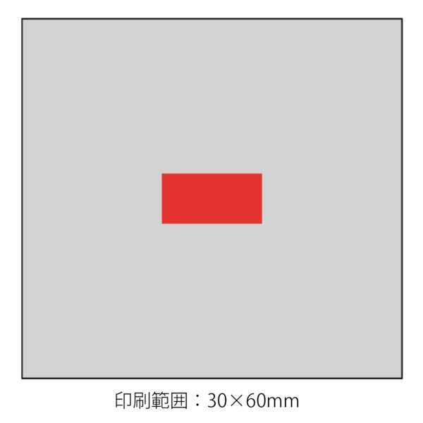 プラチナヴェール・フェイスタオル+ミニタオル2Pセットの商品画像3枚目