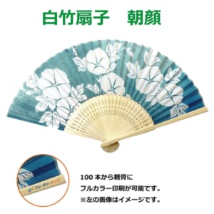 cpat-A76-2D9799