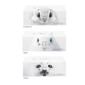 cpat-A01-36906