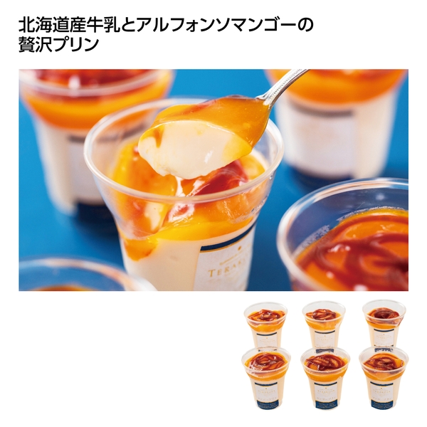 【感謝のカタチ】東京小金井TERAKOYA監修　濃厚マンゴープリン6個