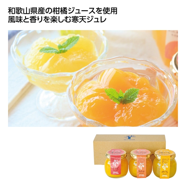【感謝のカタチ】伊藤農園　ピュアフルーツ寒天ジュレ3個セット