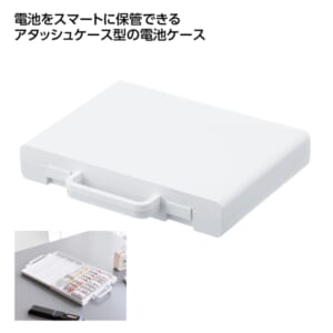 cpat-A01-81956WH