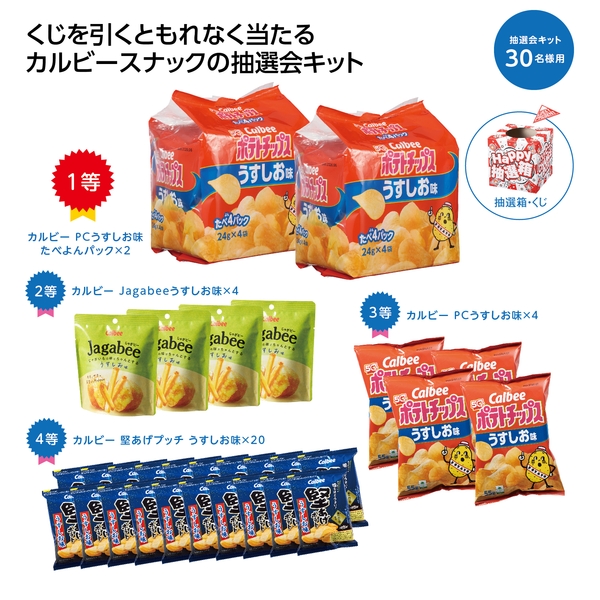 【感謝のカタチ】カルビー　ポテトスナック抽選会キット　30名様用