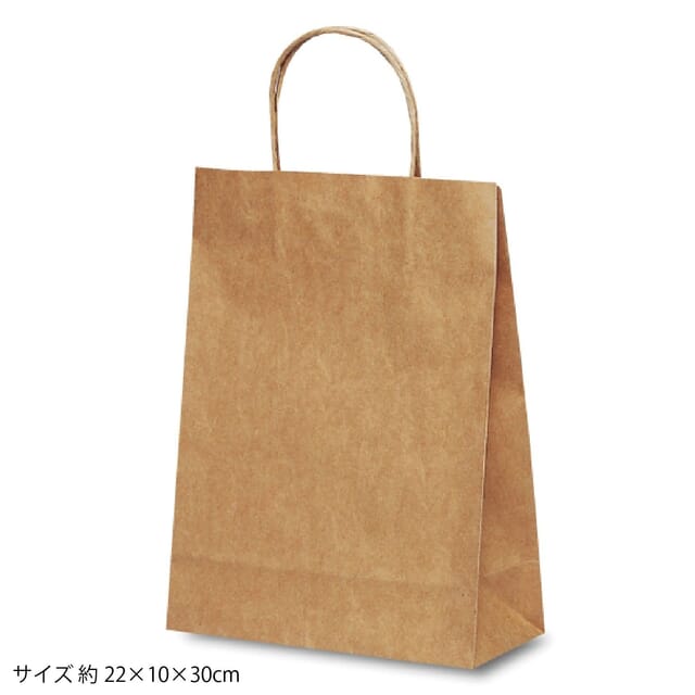 紙袋(茶無地)