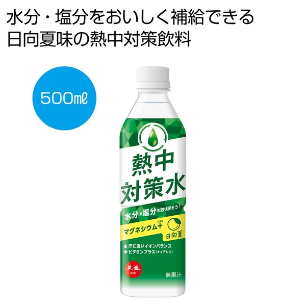 天塩使用　熱中対策水　日向夏500ml