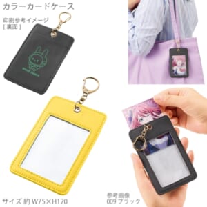 cpat-A14-TX-0043-010