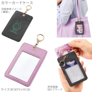 cpat-A14-TX-0043-013