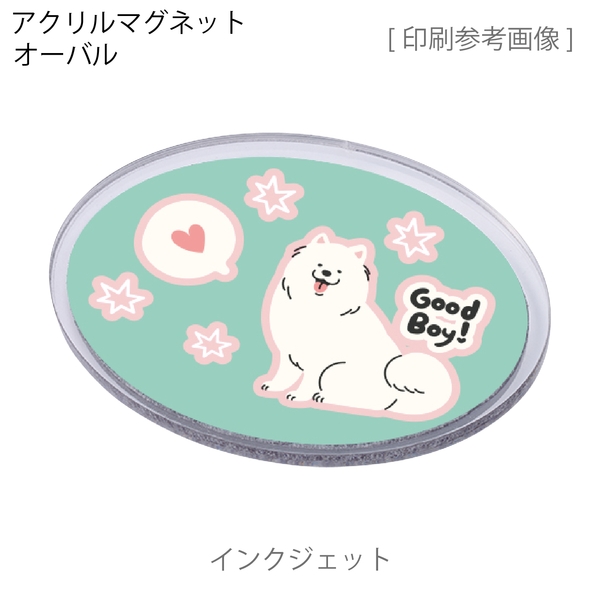 アクリルマグネット　オーバル：クリアの商品画像6枚目