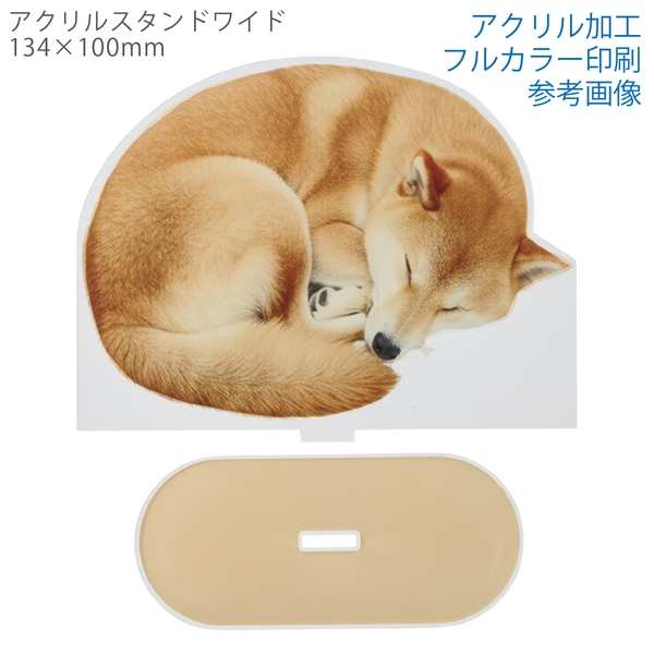 アクリルスタンドワイド134×100mm：クリアの商品画像2枚目