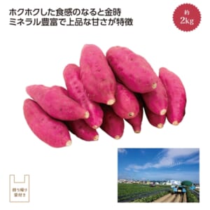 cpat-A01-37202