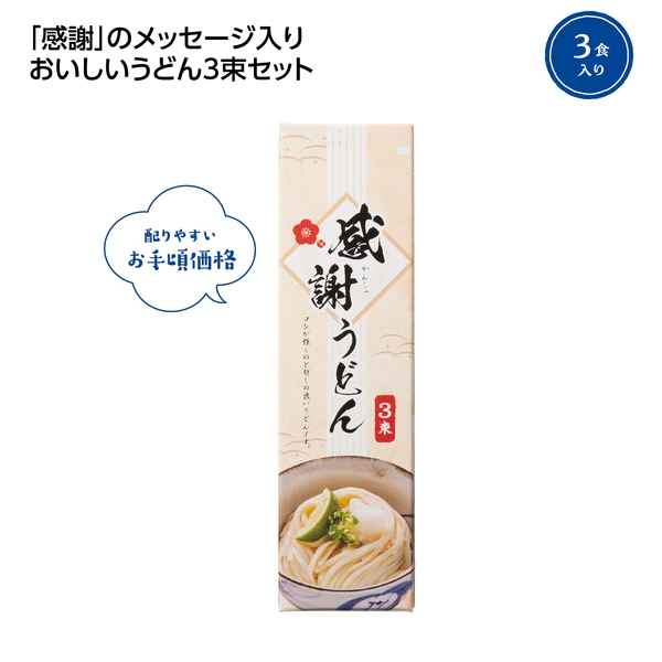 感謝うどん3束