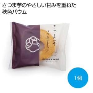 cpat-A12-2478273