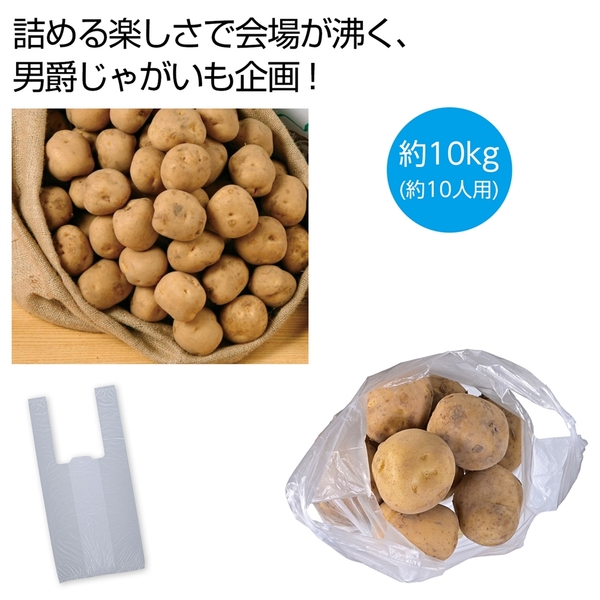 北海道産男爵じゃがいも詰め放題キット10kg　(約10人用)
