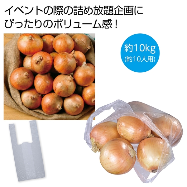 北海道産玉ねぎ詰め放題キット10kg　(約10人用)