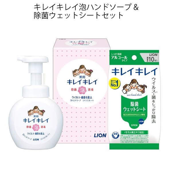 LION【 1カートン】キレイキレイ泡ハンドソープ&除菌ウェットシートセット