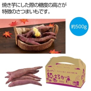 cpat-A12-2567580