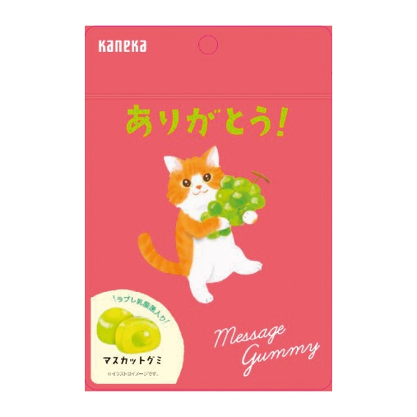 メッセージグミ　ありがとう(マスカット味) 【ハッピーバレンタイン】
