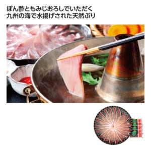 cpat-A01-50874