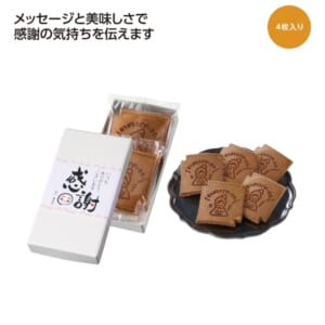 cpat-A01-82026