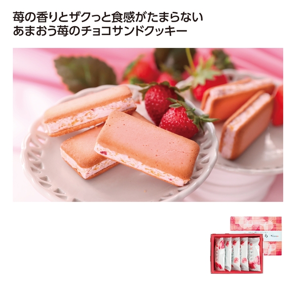 【感謝のカタチ】博多風美庵　苺きらら　5個入