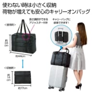 cpat-A12-2377731